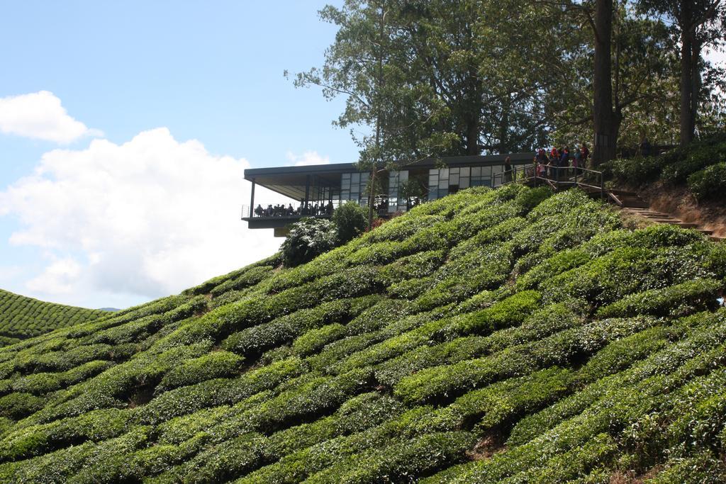 Cameron Strawberry Residence Cameron Highlands Buitenkant foto