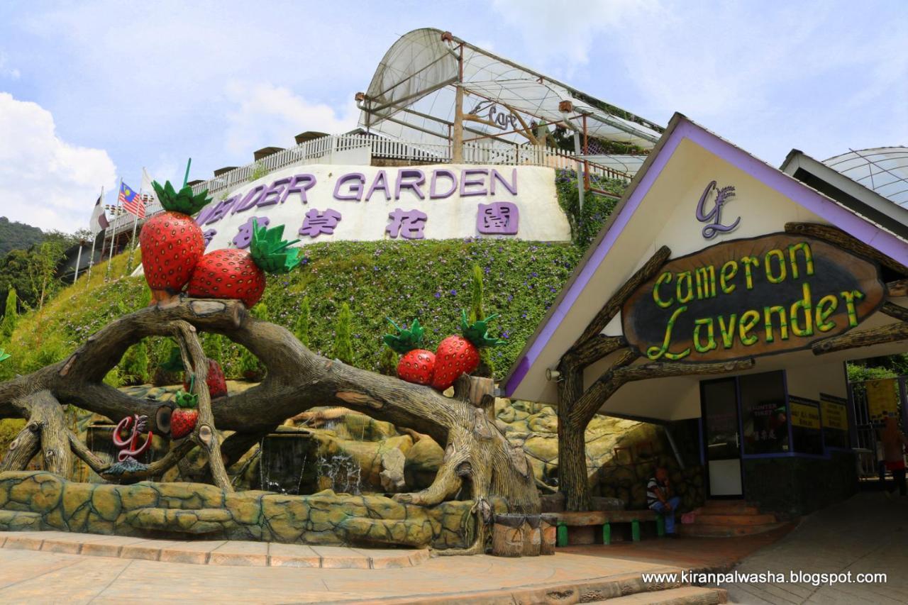 Cameron Strawberry Residence Cameron Highlands Buitenkant foto